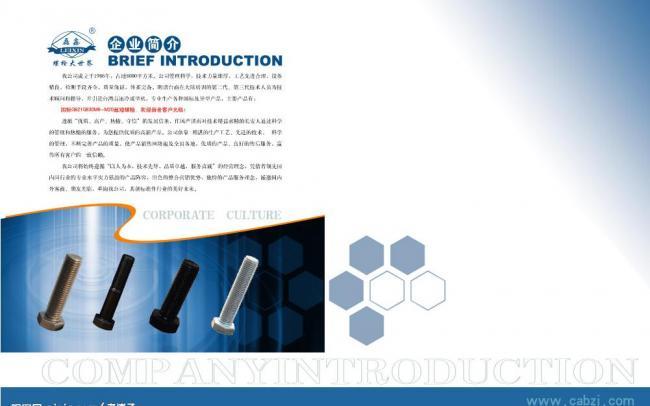 企業(yè)畫(huà)冊(cè)封2與P1 視覺(jué)序章的藝術(shù)