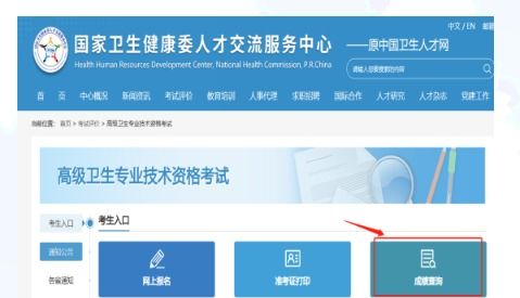 2023年河北衛(wèi)生系列高級(jí)專(zhuān)業(yè)技術(shù)資格實(shí)踐技能考試成績(jī)查詢通知——兼論信息技術(shù)咨詢服務(wù)與衛(wèi)生人才發(fā)展的協(xié)同效應(yīng)